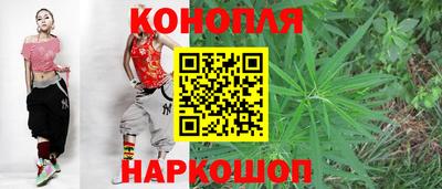 сатива Будённовск