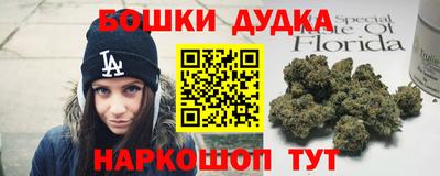 сатива Будённовск