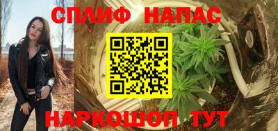 сатива Будённовск